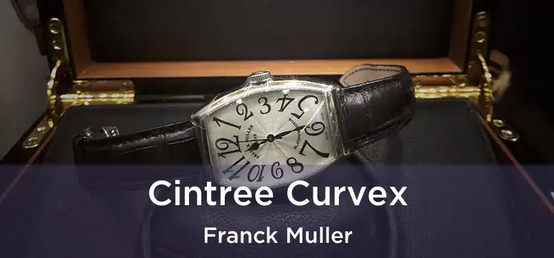  Cintree Curvex Franck Muller