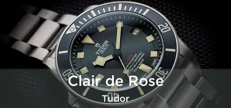  Clair de Rose Tudor