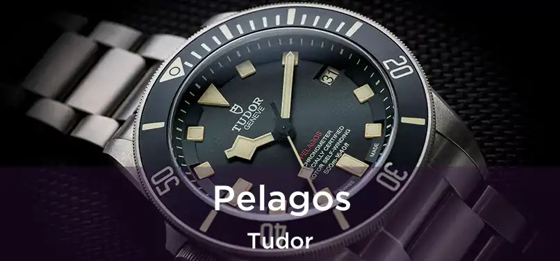  Pelagos Tudor