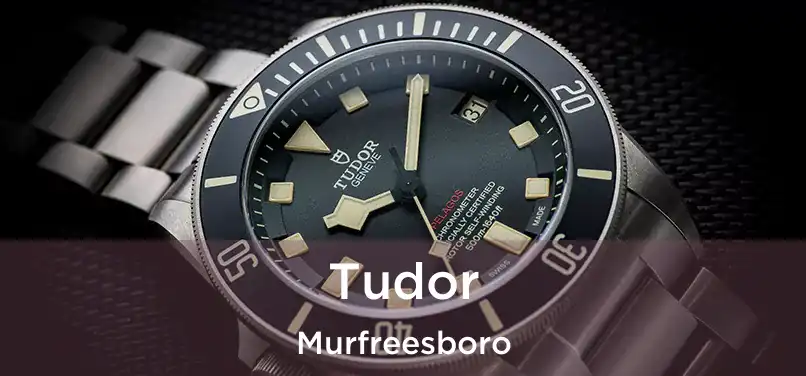  Tudor Murfreesboro